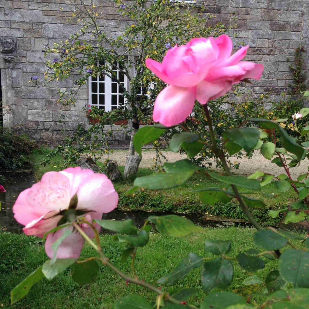 Manoir Du Moustoir - Hotel Les Empreintes Saint-Évarzec Dış mekan fotoğraf