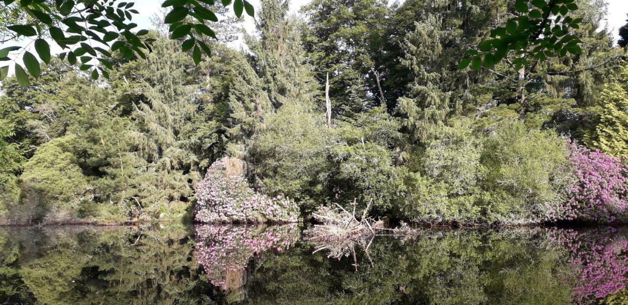 Manoir Du Moustoir - Hotel Les Empreintes Saint-Évarzec Dış mekan fotoğraf